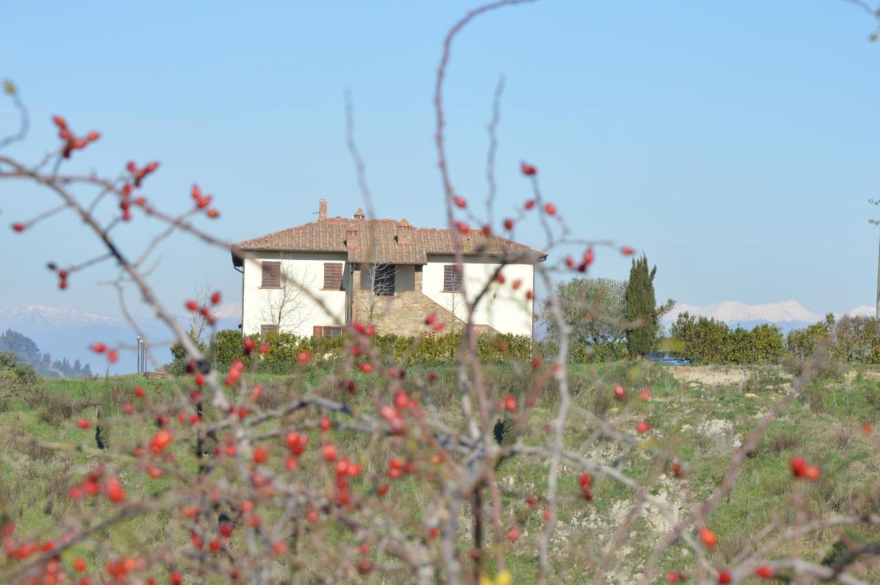 Agriturismo Corte Dainelli Montaione Extérieur photo